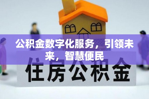老河口公积金数字化服务，引领未来，智慧便民
