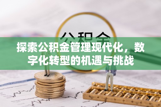 老河口探索公积金管理现代化，数字化转型的机遇与挑战