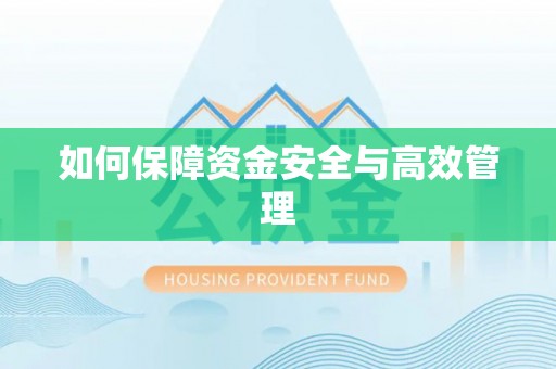 老河口如何保障资金安全与高效管理