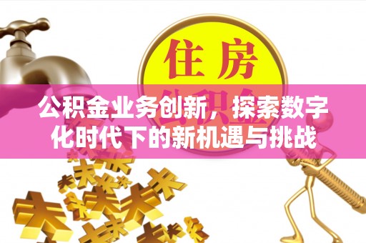 老河口公积金业务创新，探索数字化时代下的新机遇与挑战