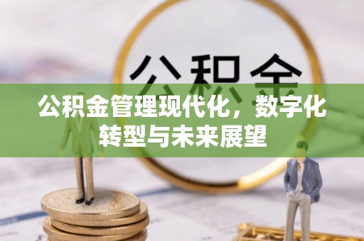 老河口公积金管理现代化，数字化转型与未来展望
