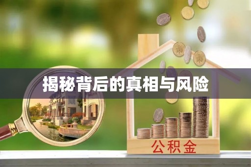 老河口揭秘背后的真相与风险