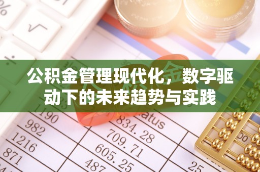老河口公积金管理现代化，数字驱动下的未来趋势与实践