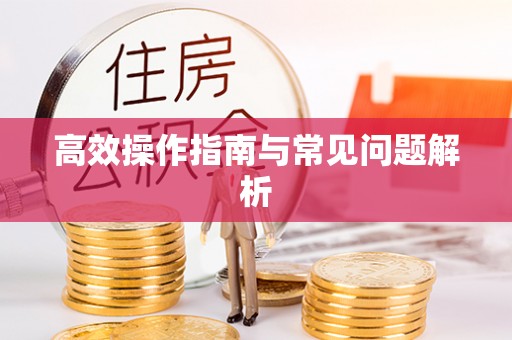 老河口高效操作指南与常见问题解析