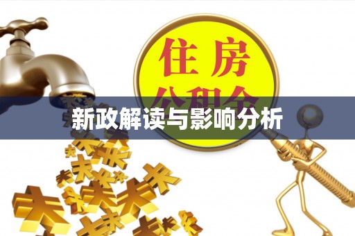 老河口新政解读与影响分析