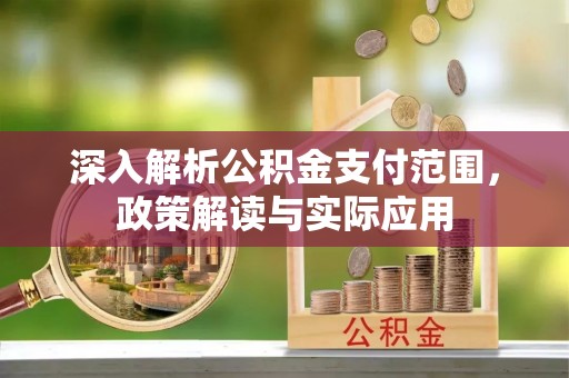 老河口深入解析公积金支付范围，政策解读与实际应用
