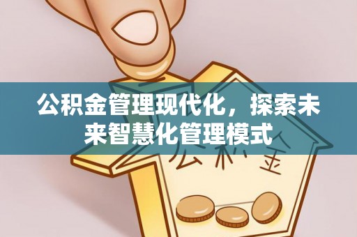 老河口公积金管理现代化，探索未来智慧化管理模式