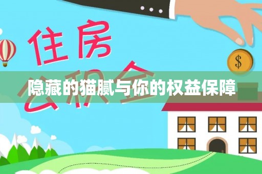 老河口隐藏的猫腻与你的权益保障