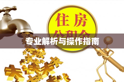 老河口专业解析与操作指南