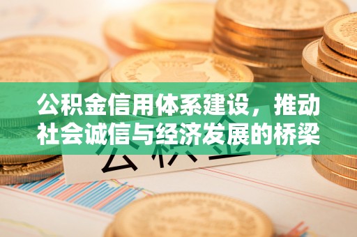 老河口公积金信用体系建设，推动社会诚信与经济发展的桥梁