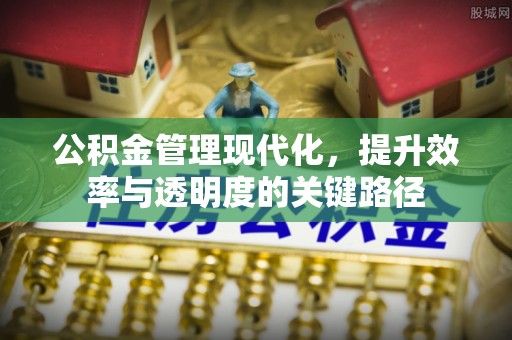 老河口公积金管理现代化，提升效率与透明度的关键路径