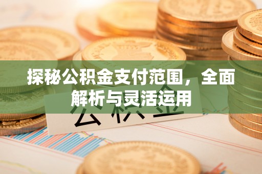 老河口探秘公积金支付范围，全面解析与灵活运用
