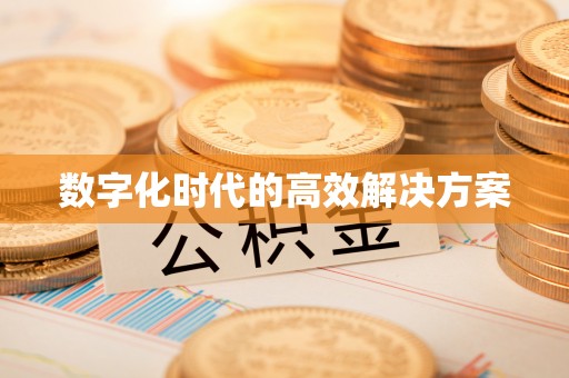 老河口数字化时代的高效解决方案