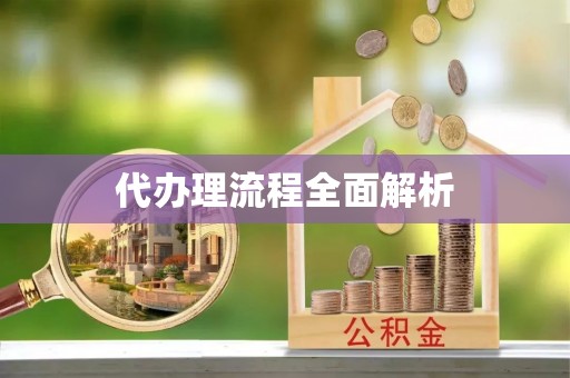 老河口代办理流程全面解析