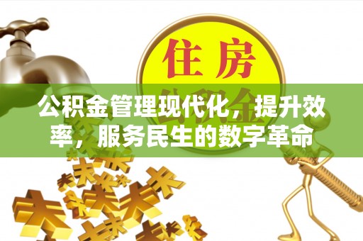 老河口公积金管理现代化，提升效率，服务民生的数字革命