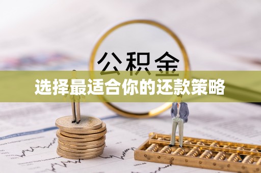 老河口选择最适合你的还款策略