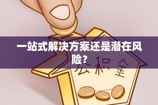 老河口一站式解决方案还是潜在风险？
