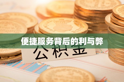 老河口便捷服务背后的利与弊