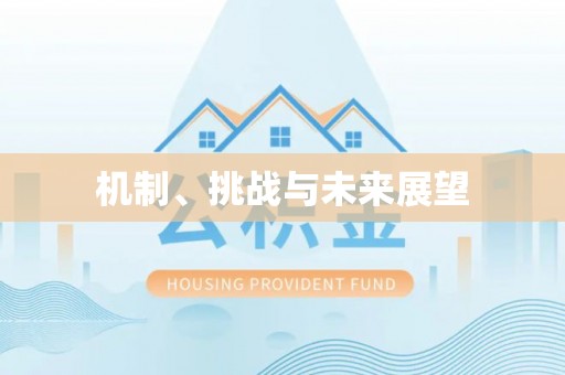 老河口机制、挑战与未来展望